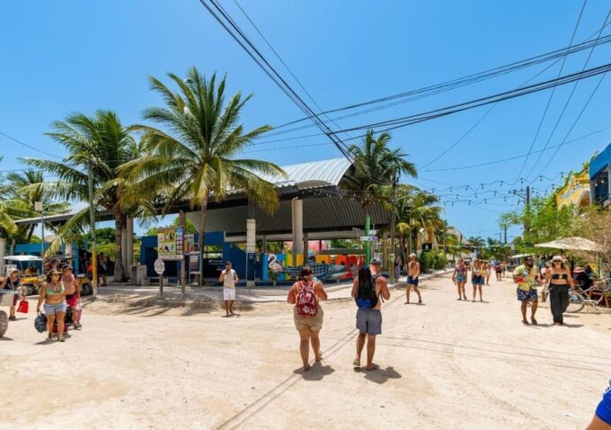 Holbox: Full-Day Tour to 2 Islands, Cenote & Lunch Included - Wildlife Spotting at Punta Mosquito