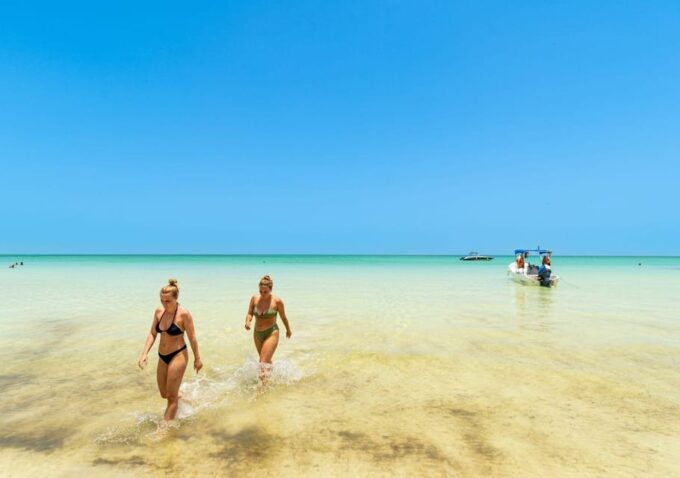 Holbox: Full-Day Tour to 2 Islands, Cenote & Lunch Included - Included Amenities and Considerations
