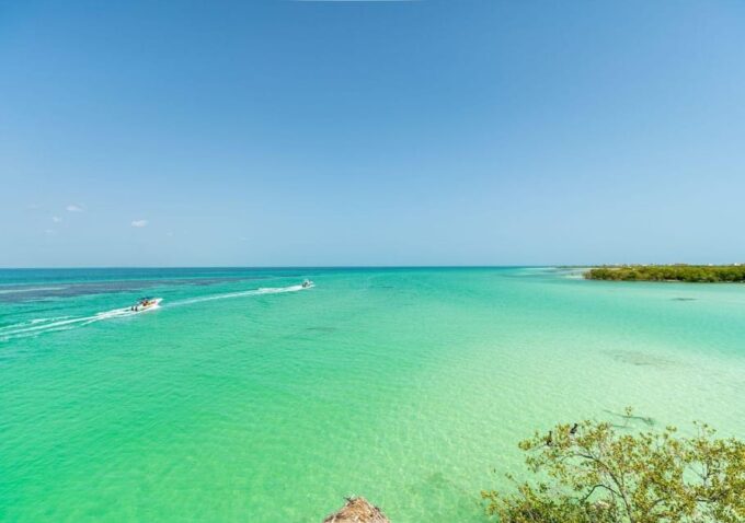 Holbox: Full-Day Tour to the Island, Cenote Swim and Lunch - Frequently Asked Questions