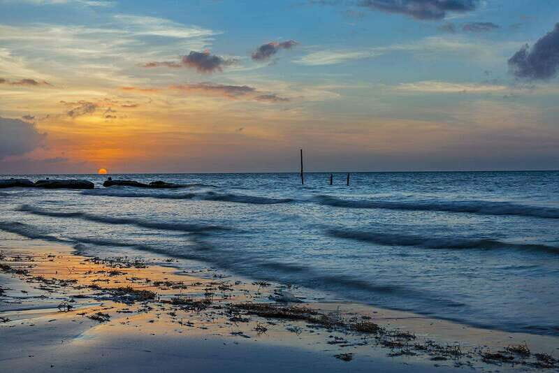 Holbox: Guided Bioluminescence Kayaking Tour - Key Points