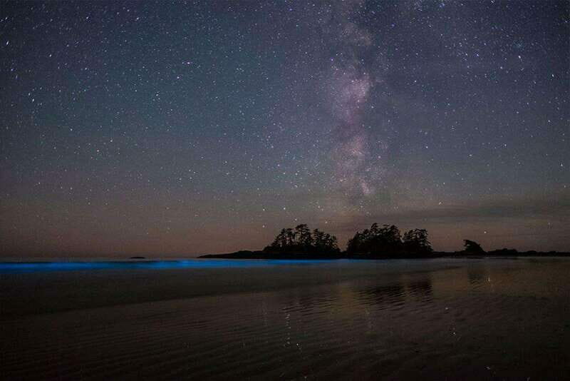 Holbox: Guided Bioluminescence Kayaking Tour - The Sum Up