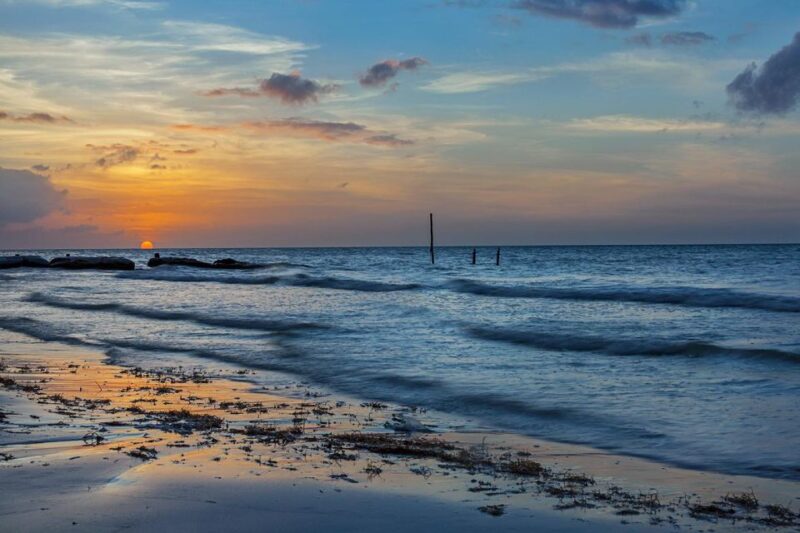Holbox: Guided Bioluminescence Kayaking Tour - Key Points