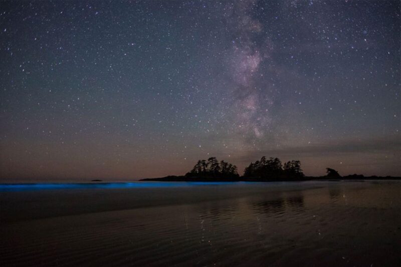 Holbox: Guided Bioluminescence Kayaking Tour - Location and Duration