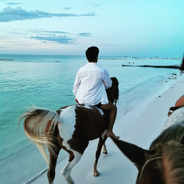 Holbox: Guided Horseback Ride on the Beach - Experience Highlights