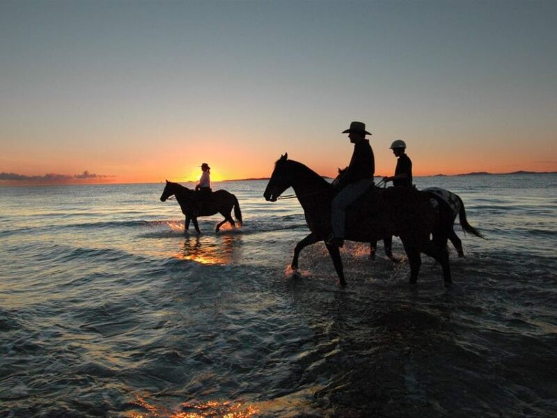 Holbox: Guided Horseback Ride on the Beach - Participant Details
