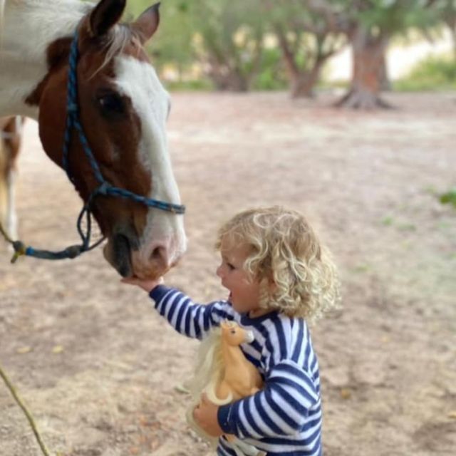 Holbox: Guided Horseback Ride on the Beach - Customer Feedback