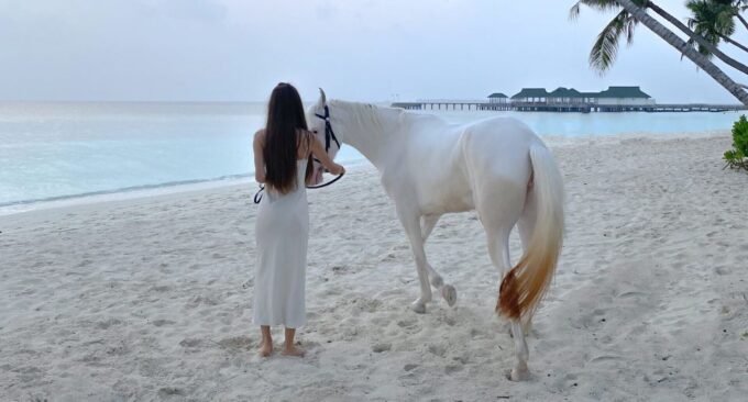 Holbox: Guided Horseback Ride on the Beach - Getting to Holbox