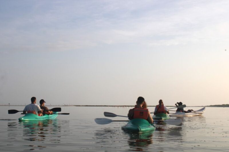 Holbox: Guided Sunrise Kayak Tour Through Mangrove Reserve - Preparation and Recommendations