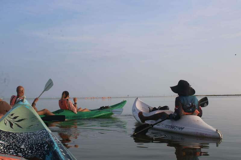Holbox: Guided Sunrise/Sunset Kayak Tour by Mangrove Reserve - The Itinerary in Detail
