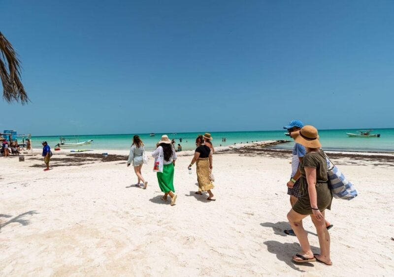 Holbox: Guided Visit to the Island, Cenote Swim and Lunch - Key Points