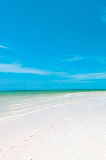 Holbox: Guided Visit to the Island, Cenote Swim and Lunch - Meals and Refreshments