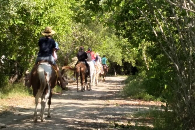 Holbox Horseback Riding in Nature Experience - Inclusions of the Tour