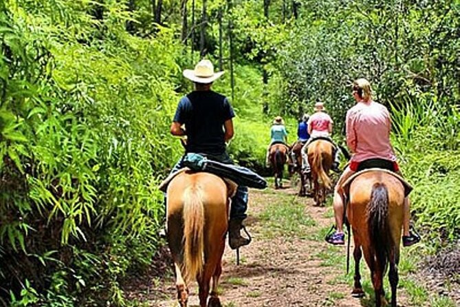 Holbox Horseback Riding in Nature Experience - Customer Reviews and Feedback