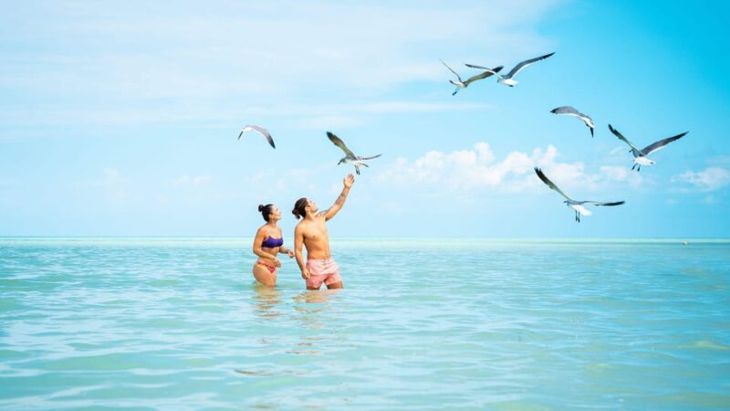 Holbox Island Adventure From Cancun and Playa Del Carmen - Highlights of the Experience