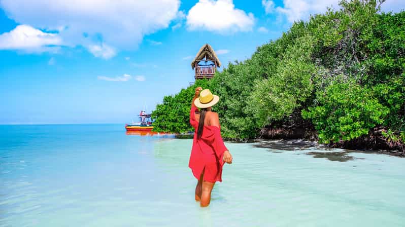 Holbox Island Adventure From Cancun and Playa Del Carmen - Inclusions and Transportation