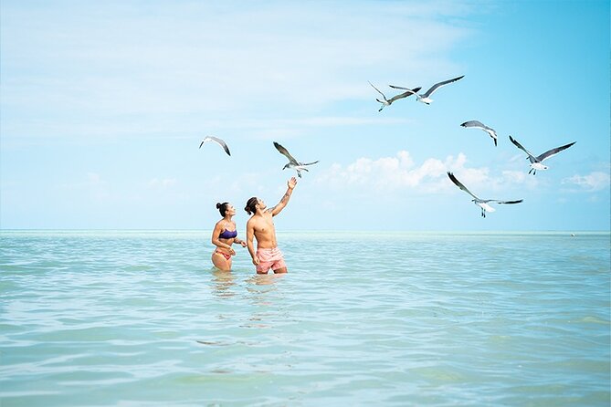 Holbox Island Adventure From Cancun and Playa Del Carmen - Transportation Details