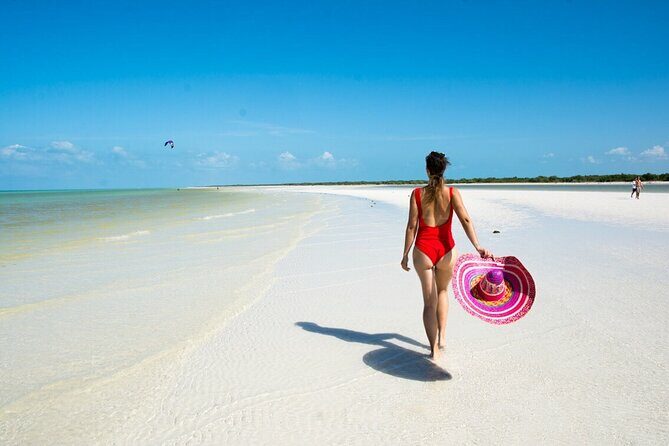 Holbox Island and Cenote Full Day Tour - Key Points