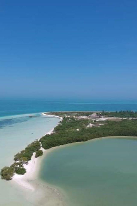 Holbox Island: Day Trip With Kayak Tour - Key Points