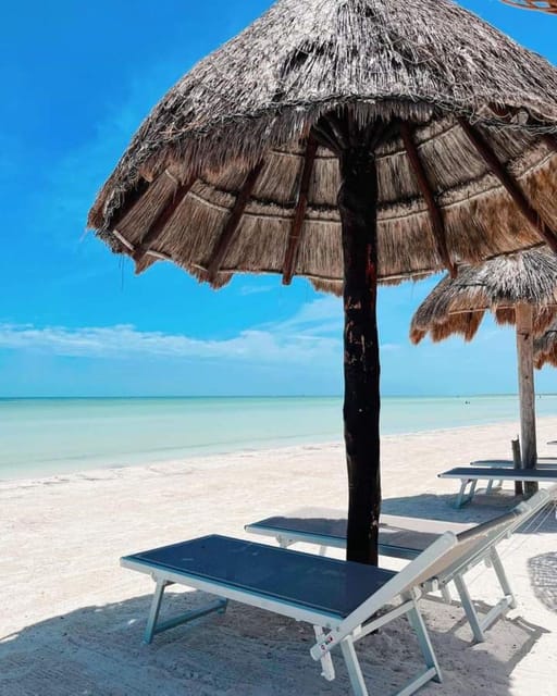 Holbox Island: Day Trip With Kayak Tour - Exploring Holbox Island