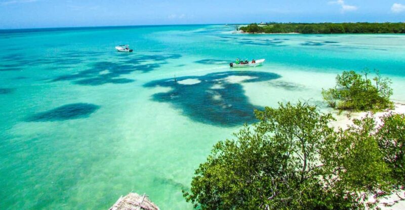 Holbox Island Day Trip With Lunch and Drinks - Key Points