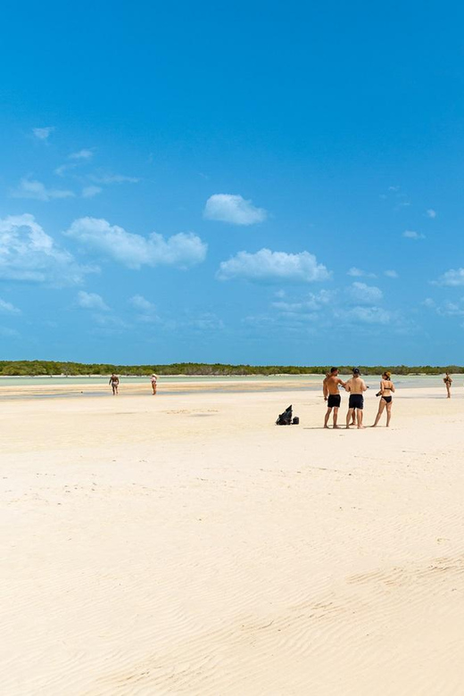 Holbox Island Day Trip With Lunch and Drinks - Itinerary and Activities