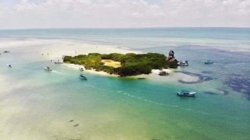 Holbox Island: Day Trip With Lunch - Key Points