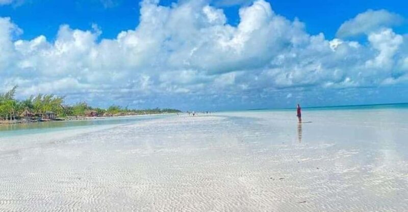 Holbox Island: Day Trip With Lunch - Inclusions