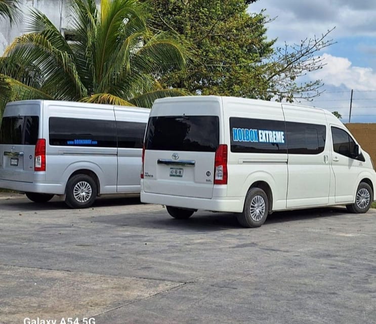 Holbox Island: Day Trip With Lunch - Important Information