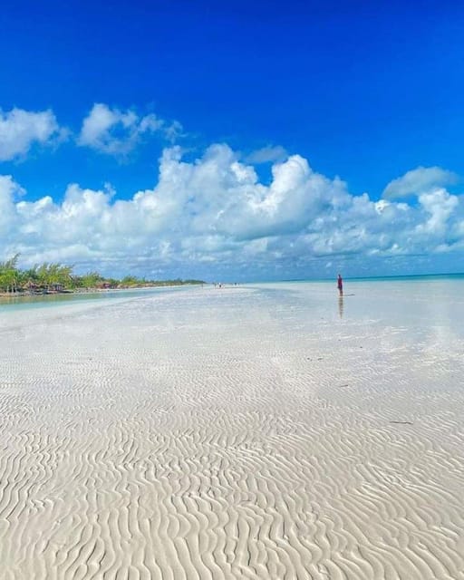 Holbox Island: Day Trip With Lunch - Taking in Nature