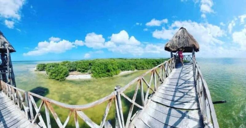 Holbox Island: Fishing and Snorkeling Tour - Key Points