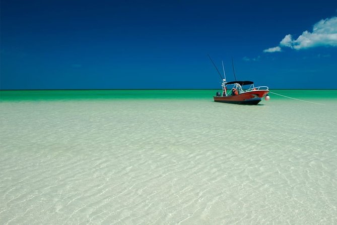 Holbox Island Full Day Trip With Lunch From Playa Del Carmen - Positive Guest Feedback