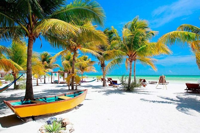 Holbox Island Full Day Trip With Lunch From Playa Del Carmen - Negative Guest Feedback