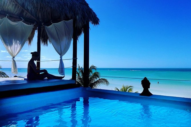 Holbox Island Full Day Trip With Lunch From Playa Del Carmen - Suggestions for Travelers