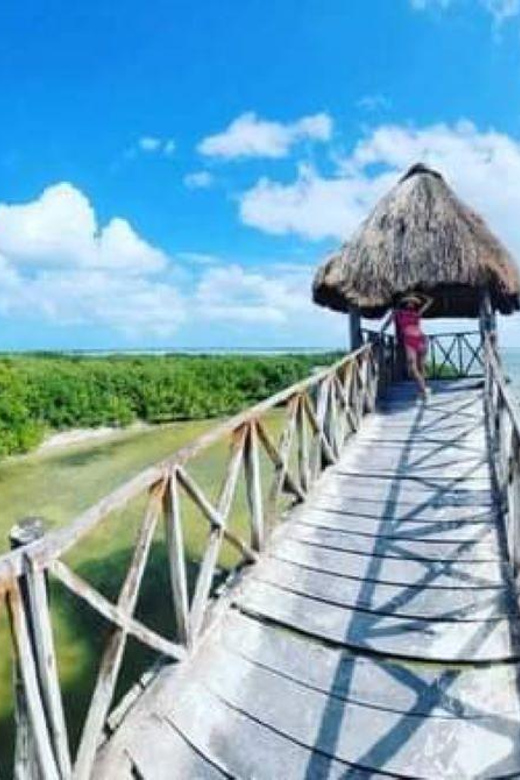 Holbox Island: Tour With Whale Shark Swim - Inclusions