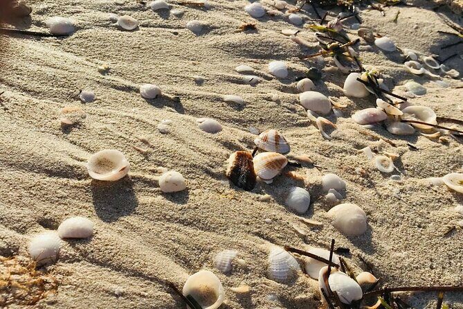 Holbox: Islas Pajaros, Yalahau & Isla de la Pasión with pick up - Exploring the Three Main Stops