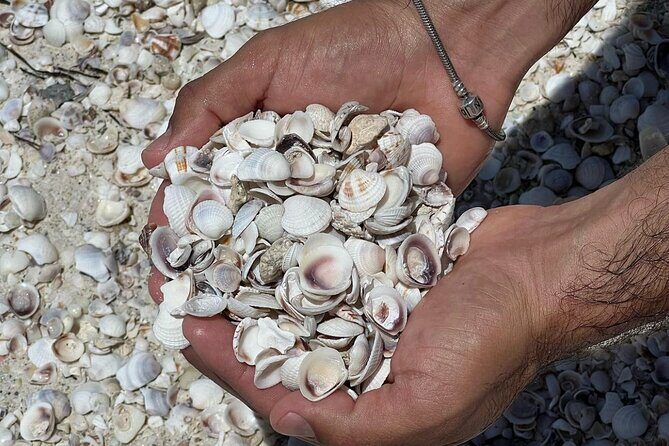 Holbox: Islas Pajaros, Yalahau & Isla de la Pasión with pick up - Who Is This Tour Best For?