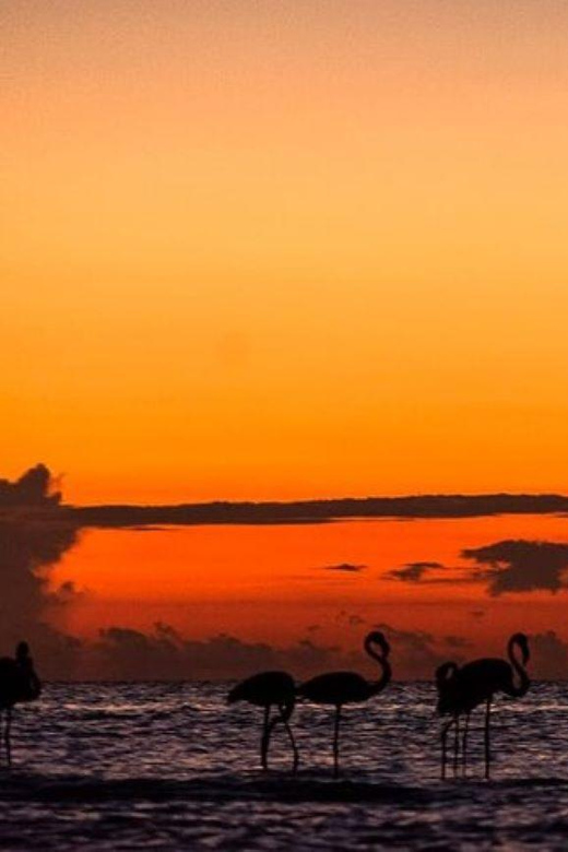Holbox: Mangrove Paddling Excursion - Key Points