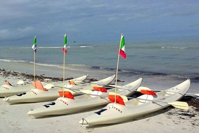 Holbox: Mangrove Paddling Excursion - Booking and Payment