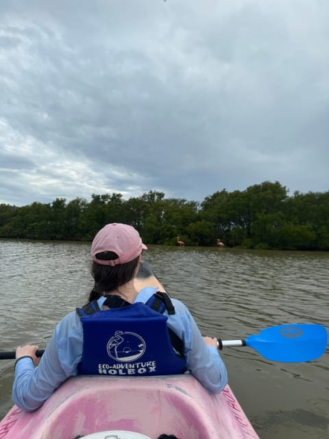 Holbox: Mangrove Sunset Kayak Tour - Inclusions