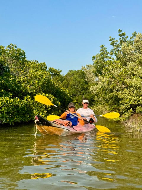 Holbox: Mangrove Sunset Kayak Tour - Important Information
