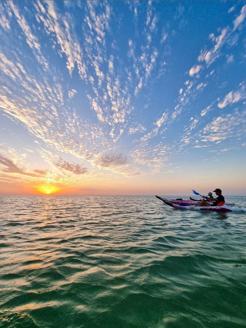 Holbox: Mangrove Sunset Kayak Tour - Pricing and Availability