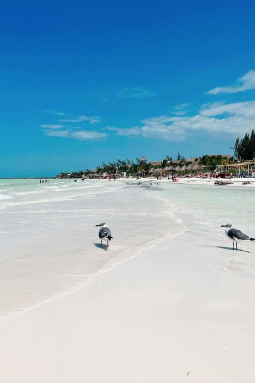Holbox: Private Boat Tour With Breakfast and Lunch - What to Bring Essentials