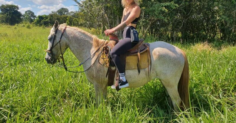 Holbox: Private Horseback Riding - Key Points