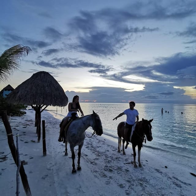 Holbox: Private Horseback Riding - Private Ride Details