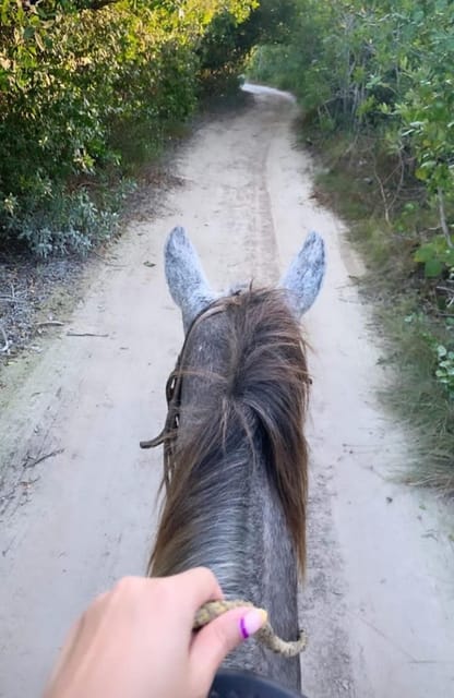 Holbox: Private Horseback Riding - Guides and Instruction