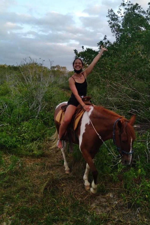 Holbox: Private Horseback Riding - Pricing and Availability