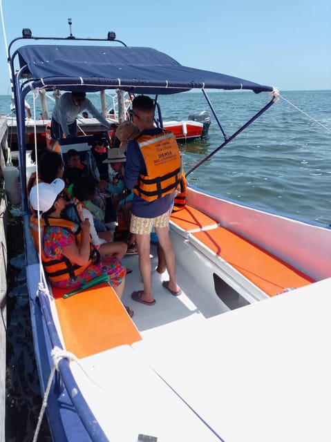 Holbox: Private Island Tour With Lunch and Transfers - Key Points