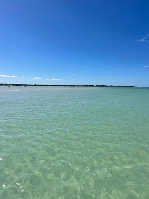 Holbox: Punta Mosquitos, Yalahau, and Passion Island Boat Tour - What to Bring