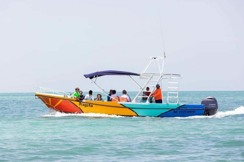 Holbox: Search and Swim with Whale Sharks ! All Inclusive. - The Sum Up