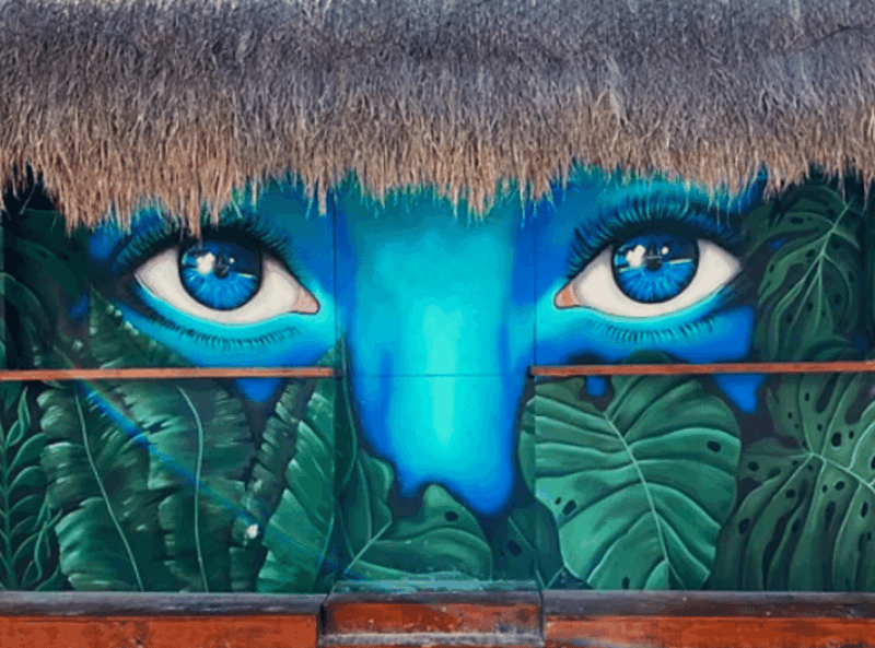 Holbox: Self-Guided Downtown Tour. Art, Culture, and History - Customer Support and Flexibility